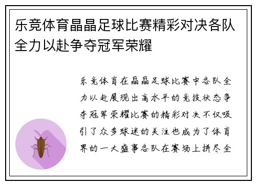 乐竞体育晶晶足球比赛精彩对决各队全力以赴争夺冠军荣耀