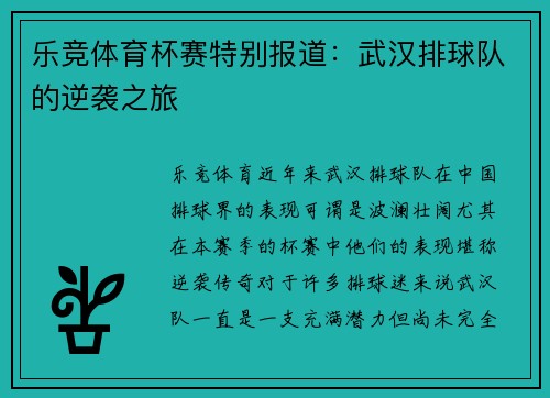乐竞体育杯赛特别报道：武汉排球队的逆袭之旅
